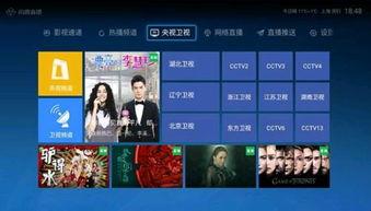 雷府最新爆料新闻直播,揭秘惊天秘密，直播现场直击！